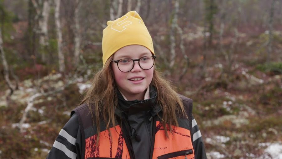 Wilma och hunden i fjällbjörkskogen